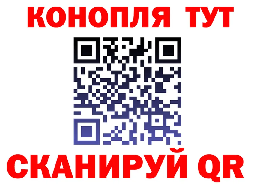АМФ Premium сайт площадка omg Венёв