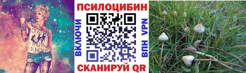 Псилоцибиновые грибы мицелий  Купить  Венёв 